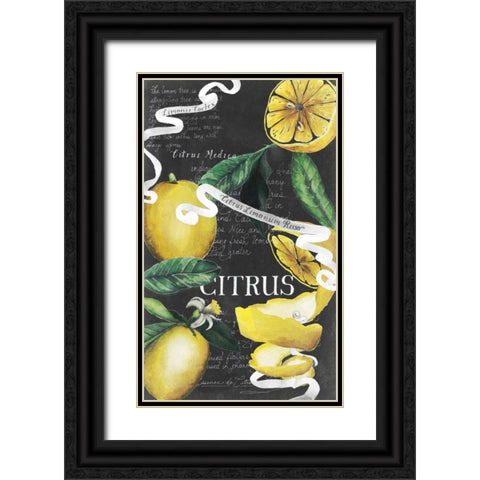 Chalkboard Citrus II Black Ornate Wood Framed Art Print with Double Matting by Popp, Grace