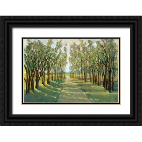Forest Path Black Ornate Wood Framed Art Print with Double Matting by OToole, Tim