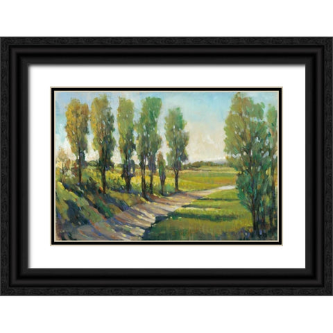 Lush Landscape I Black Ornate Wood Framed Art Print with Double Matting by OToole, Tim