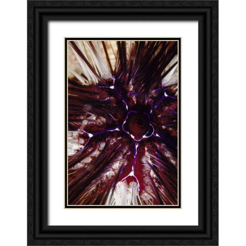 Passion Flower - Thailand Black Ornate Wood Framed Art Print with Double Matting by Factor, Beverly