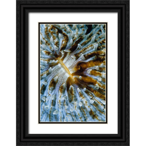Interlude - Papua New Guinea Black Ornate Wood Framed Art Print with Double Matting by Factor, Beverly