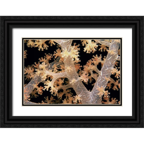 Splendid Branches - Fiji Black Ornate Wood Framed Art Print with Double Matting by Factor, Beverly