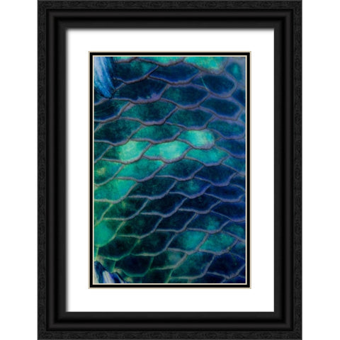 Ripples - Malaysia Black Ornate Wood Framed Art Print with Double Matting by Factor, Beverly