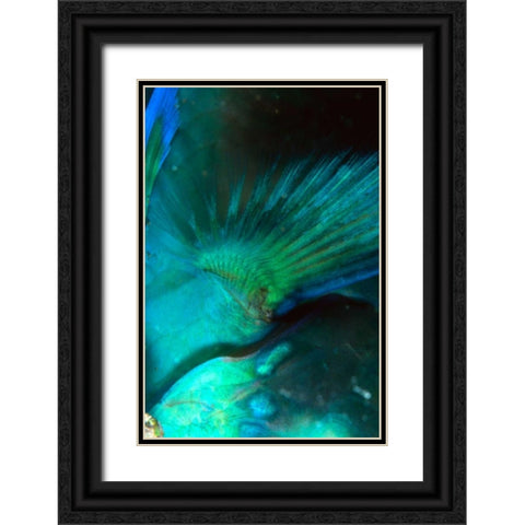 Finality - Australia Black Ornate Wood Framed Art Print with Double Matting by Factor, Beverly