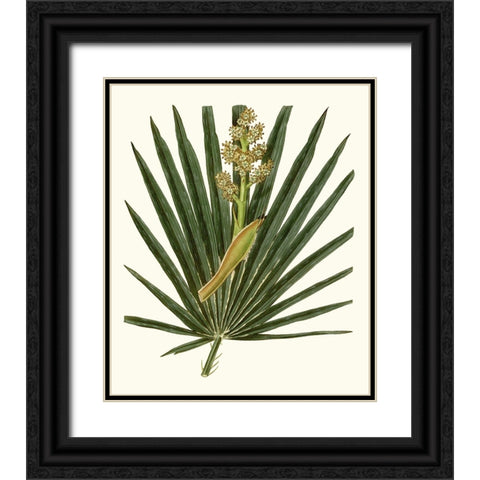 Grand Foliage II Black Ornate Wood Framed Art Print with Double Matting by Vision Studio