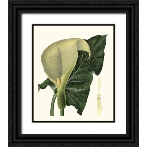 Grand Foliage III Black Ornate Wood Framed Art Print with Double Matting by Vision Studio