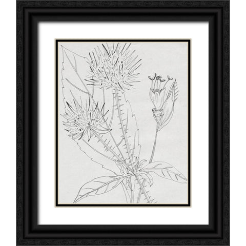 Wild Blossoms I Black Ornate Wood Framed Art Print with Double Matting by Wang, Melissa
