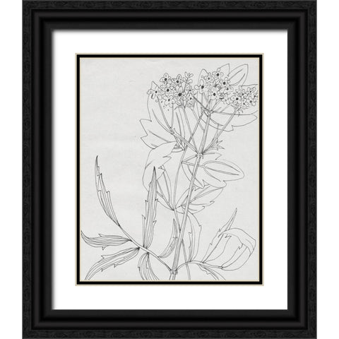Wild Blossoms II Black Ornate Wood Framed Art Print with Double Matting by Wang, Melissa