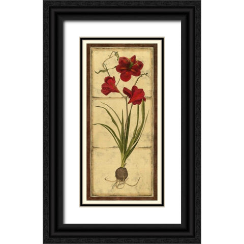 Amaryllis Panel I Black Ornate Wood Framed Art Print with Double Matting by Vision Studio