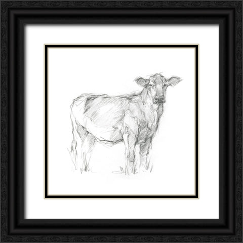 Bovine Study I Black Ornate Wood Framed Art Print with Double Matting by Harper, Ethan