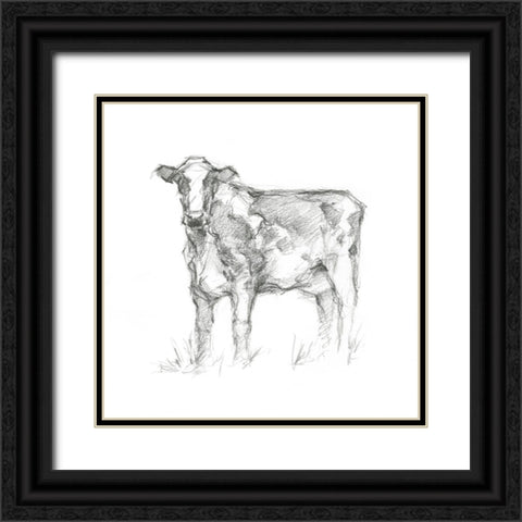 Bovine Study II Black Ornate Wood Framed Art Print with Double Matting by Harper, Ethan