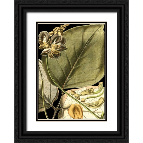Tranquil Tropical Leaves I Black Ornate Wood Framed Art Print with Double Matting by Vision Studio
