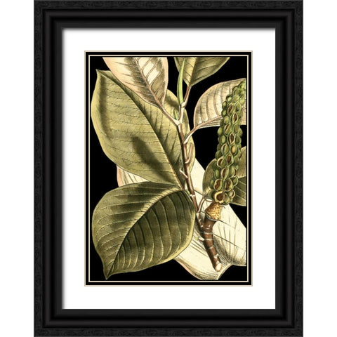 Tranquil Tropical Leaves II Black Ornate Wood Framed Art Print with Double Matting by Vision Studio