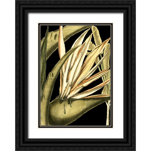 Tranquil Tropical Leaves III Black Ornate Wood Framed Art Print with Double Matting by Vision Studio