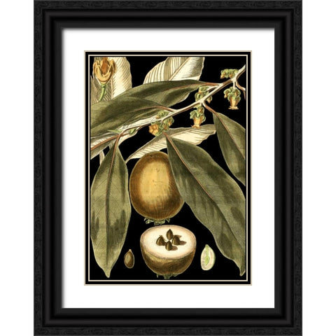 Tranquil Tropical Leaves IV Black Ornate Wood Framed Art Print with Double Matting by Vision Studio