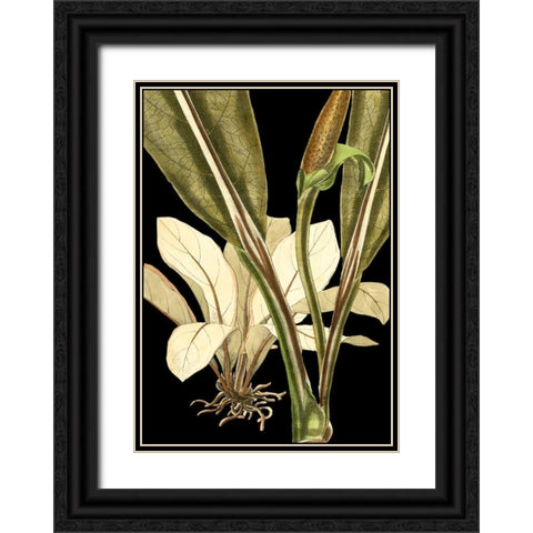 Tranquil Tropical Leaves V Black Ornate Wood Framed Art Print with Double Matting by Vision Studio