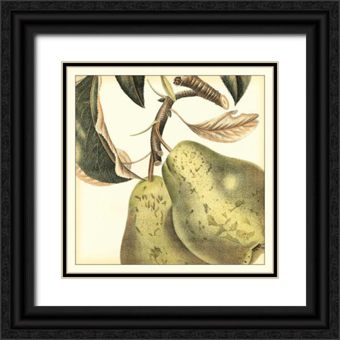 Graphic Pear Black Ornate Wood Framed Art Print with Double Matting by Vision Studio