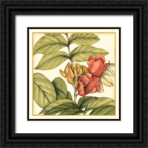 Tropical Blooms and Foliage III Black Ornate Wood Framed Art Print with Double Matting by Goldberger, Jennifer