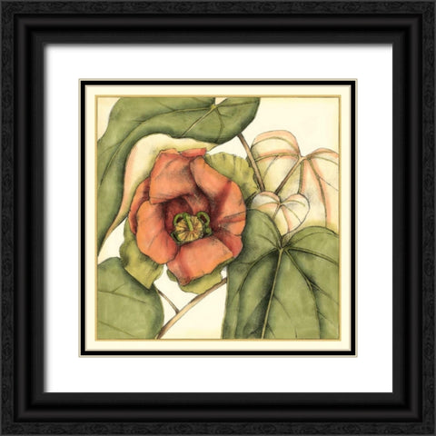 Tropical Blooms and Foliage IV Black Ornate Wood Framed Art Print with Double Matting by Goldberger, Jennifer
