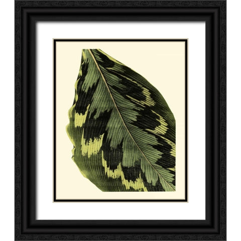 Grandiose Leaves I Black Ornate Wood Framed Art Print with Double Matting by Vision Studio