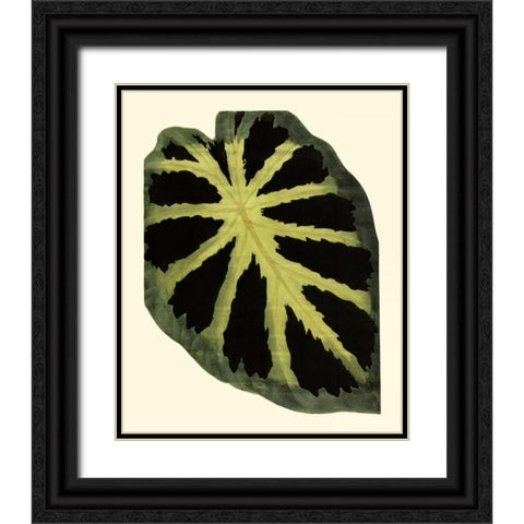 Grandiose Leaves III Black Ornate Wood Framed Art Print with Double Matting by Vision Studio