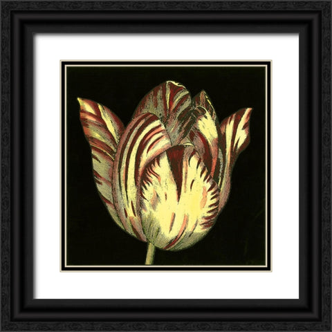 Dramatic Blooms V Black Ornate Wood Framed Art Print with Double Matting by Vision Studio