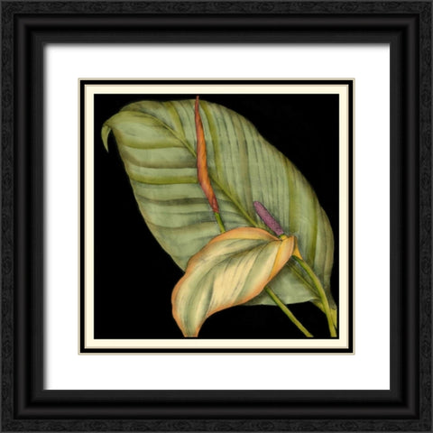 Graphic Tropicals II Black Ornate Wood Framed Art Print with Double Matting by Goldberger, Jennifer