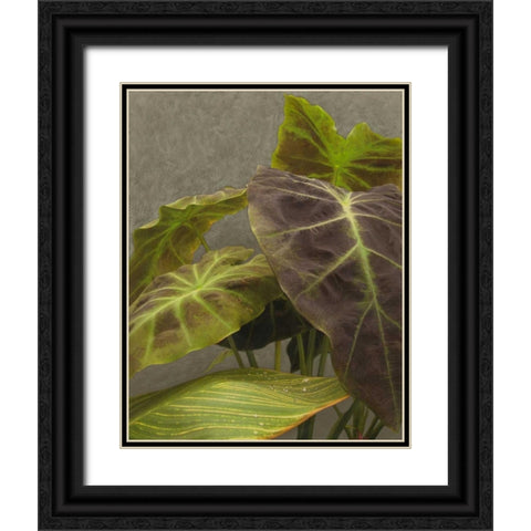 Non-Embellished Dramatic Leaves I Black Ornate Wood Framed Art Print with Double Matting by Zarris, Charliklia