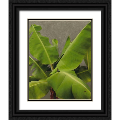 Non-Embellished Dramatic Leaves III Black Ornate Wood Framed Art Print with Double Matting by Zarris, Charliklia