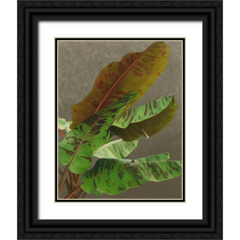 Non-Embellished Dramatic Leaves IV Black Ornate Wood Framed Art Print with Double Matting by Zarris, Charliklia