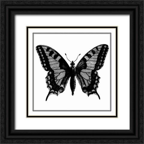 Custom Classical Butterfly I Black Ornate Wood Framed Art Print with Double Matting by Vision Studio