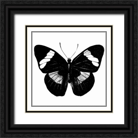 Custom Classical Butterfly III Black Ornate Wood Framed Art Print with Double Matting by Vision Studio