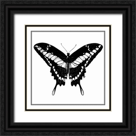 Custom Classical Butterfly IV Black Ornate Wood Framed Art Print with Double Matting by Vision Studio