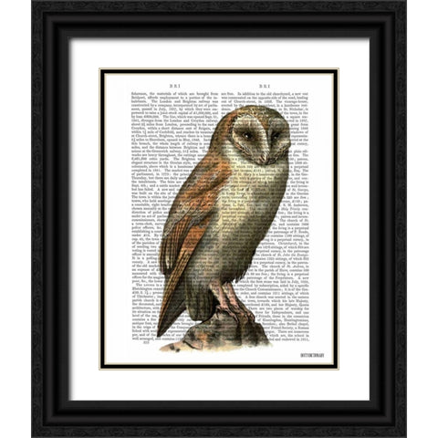 Barn Owl Black Ornate Wood Framed Art Print with Double Matting by Fab Funky