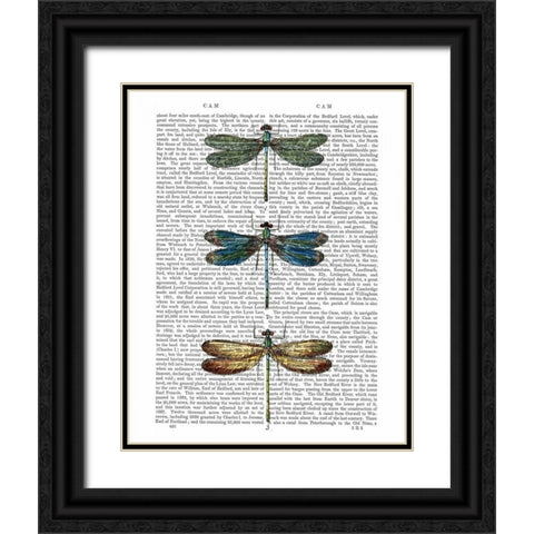 Dragonflies Print 1 Black Ornate Wood Framed Art Print with Double Matting by Fab Funky