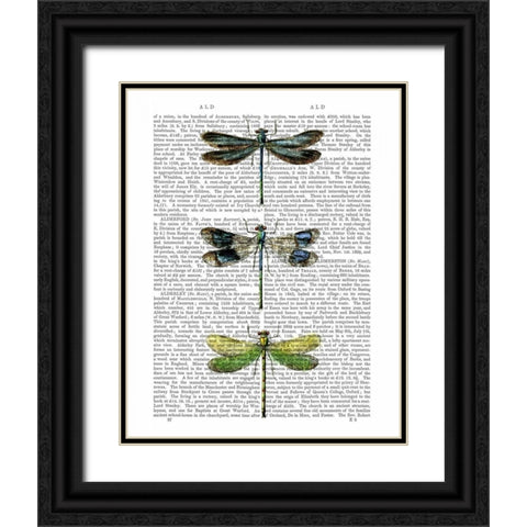 Dragonflies Print 2 Black Ornate Wood Framed Art Print with Double Matting by Fab Funky