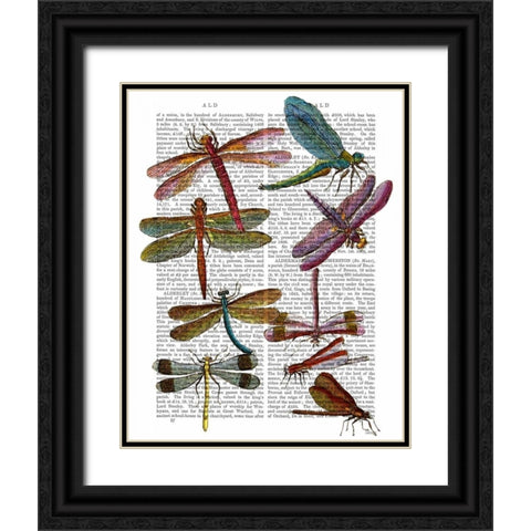Dragonfly Print 3 Black Ornate Wood Framed Art Print with Double Matting by Fab Funky