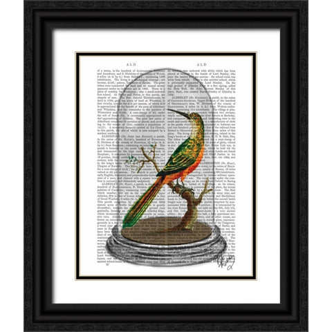 Bird In Bell Jar Black Ornate Wood Framed Art Print with Double Matting by Fab Funky