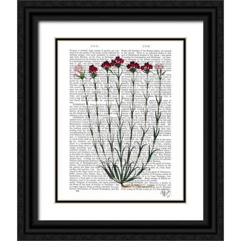 Italian Carnation 4 Black Ornate Wood Framed Art Print with Double Matting by Fab Funky