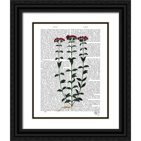 Italian Carnation 6 Black Ornate Wood Framed Art Print with Double Matting by Fab Funky