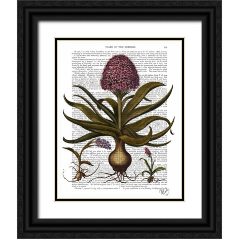 Vintage Hyacinth Black Ornate Wood Framed Art Print with Double Matting by Fab Funky