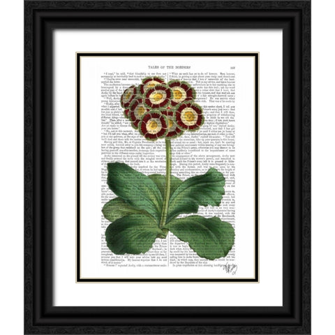 Primula Auricula Red Black Ornate Wood Framed Art Print with Double Matting by Fab Funky