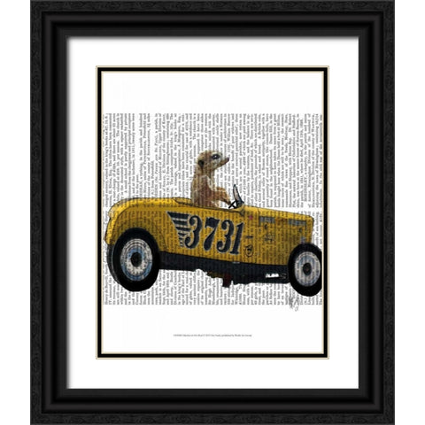 Meerkat in Hot Rod Black Ornate Wood Framed Art Print with Double Matting by Fab Funky