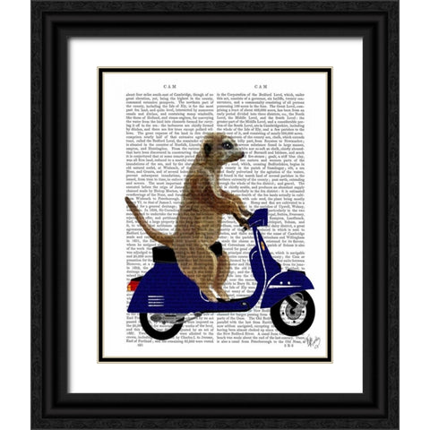 Meerkat on Dark Blue Moped Black Ornate Wood Framed Art Print with Double Matting by Fab Funky