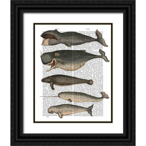 Five Vintage Whales Black Ornate Wood Framed Art Print with Double Matting by Fab Funky