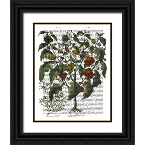 Peppers 2 Black Ornate Wood Framed Art Print with Double Matting by Fab Funky