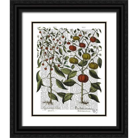 Peppers 4 Black Ornate Wood Framed Art Print with Double Matting by Fab Funky