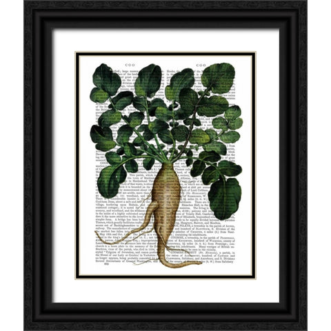 Parsnip 1 Black Ornate Wood Framed Art Print with Double Matting by Fab Funky