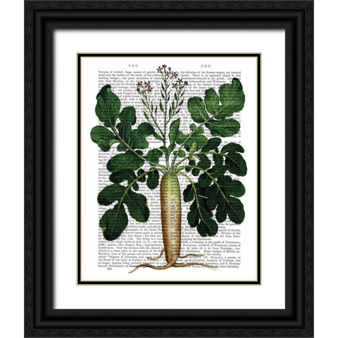 Parsnip 2 Black Ornate Wood Framed Art Print with Double Matting by Fab Funky