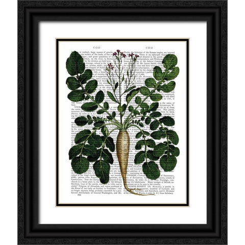 Parsnip 3 Black Ornate Wood Framed Art Print with Double Matting by Fab Funky